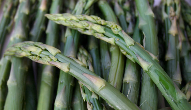 Asparagus