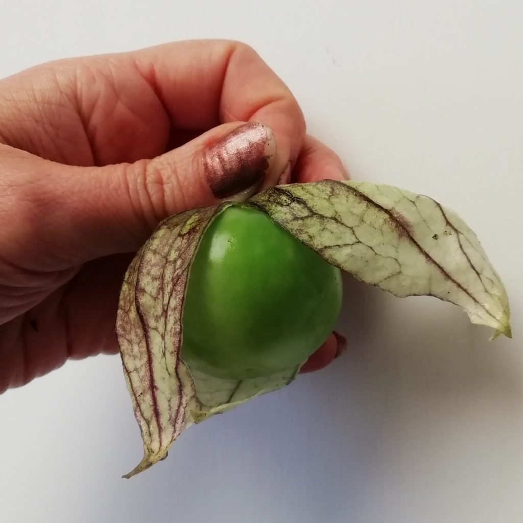 tomatillo