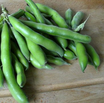 Broad beans, strawberries and gooseberries