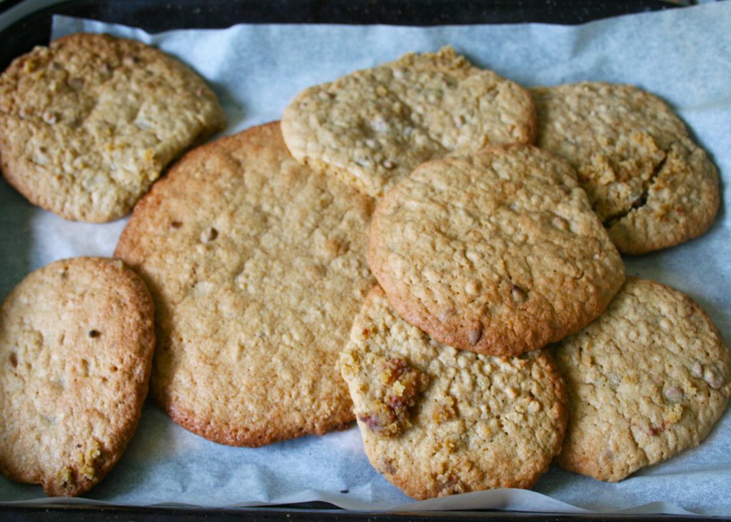 oaty chipped cookies