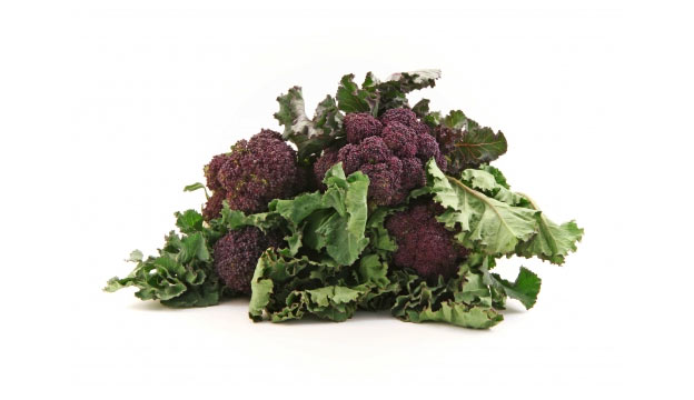 Purple sprouting broccoli