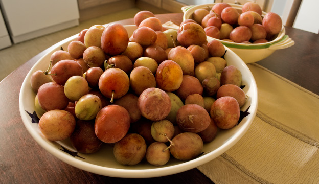 Plums in a bowl